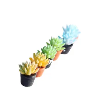 Mini Flower Bonsai Microlandscape Kunstlik Mahlakad Taimed Kapseldatud taim Ornament Kodu Kaunistamiseks Käsitöö Miniatuursed Mudelid